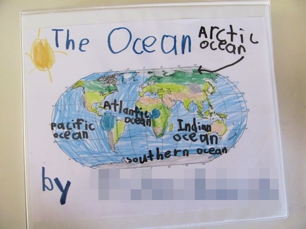 ocean project book cover