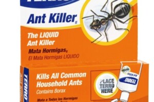 Terro can kill carpenter ants and more