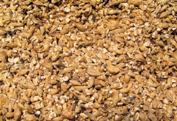 Homebrewing from all grain