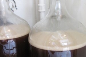 Fermenting homebrewed beer