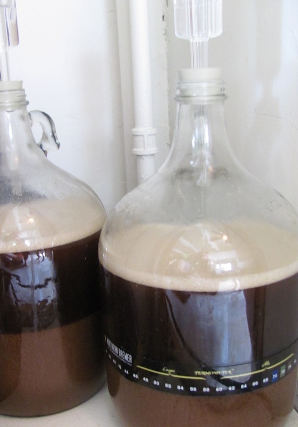 Fermenting homebrewed beer