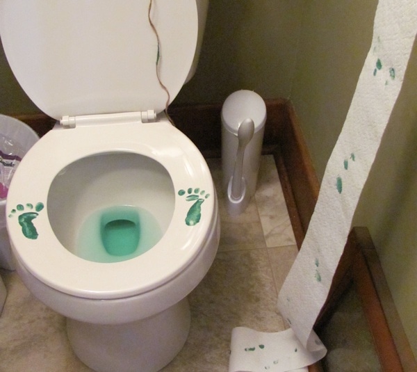 leprechaun footprints on toilet seat