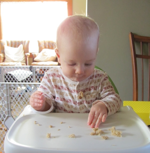 1 year old eating bread