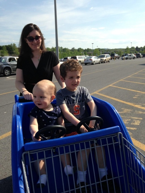 Shopping for blueberry bushes at Lowes