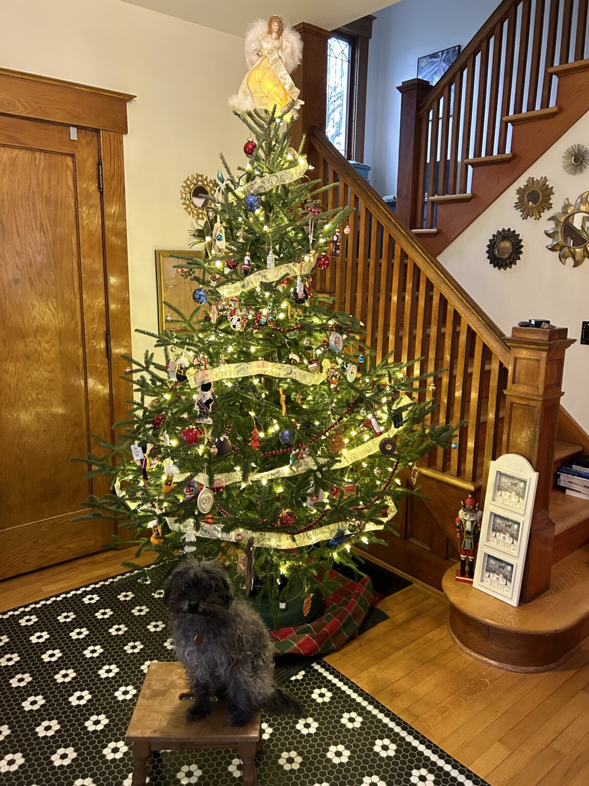 DIY Vinyl Floor Rug Keeps Snow Melt Off Hardwood Floors | Jen Spends Less